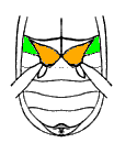 abb001.gif