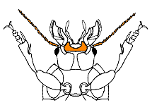 abb011.gif
