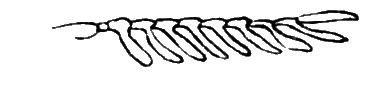 abb018a.gif