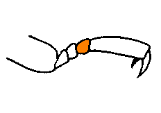 abb058.gif