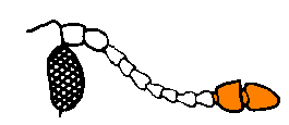 abb104.gif