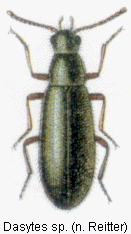 abb114.gif