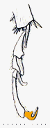 abb121.gif