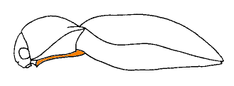 abb123.gif