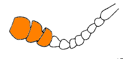 abb138.gif