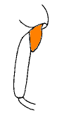 abb142.gif