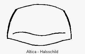 altica_hsch.gif