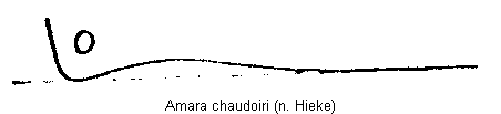 amara_chaudoiri_hhwi.gif