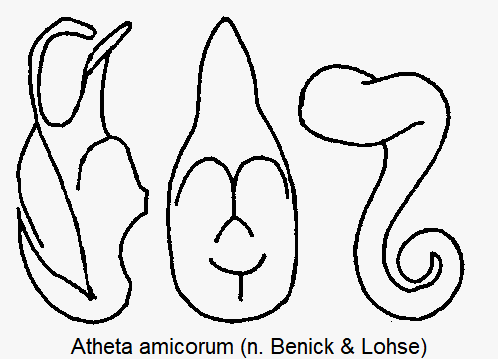 atheta_amicorum.gif