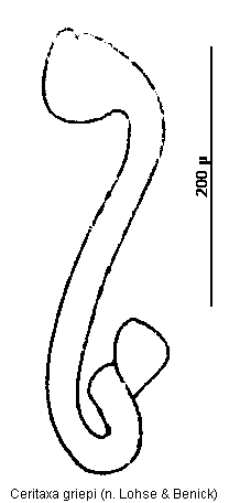 ceritaxa_griepi_sperm.gif