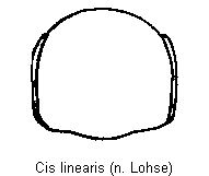 cis_linearis_hsch.gif