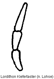 lordithon_kiefertaster.gif