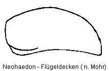 neohaedon_fld.gif