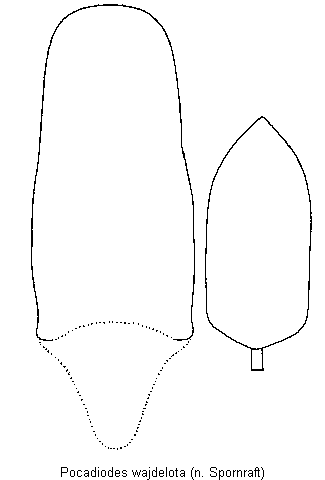 pocadiodes_wajdelota.gif