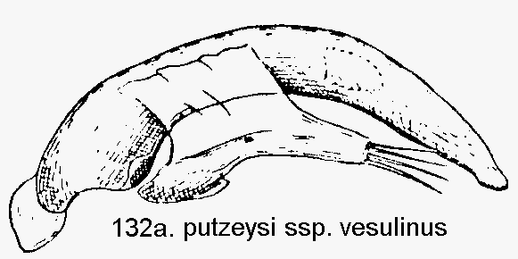 tre132a.gif