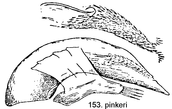 tre153.gif