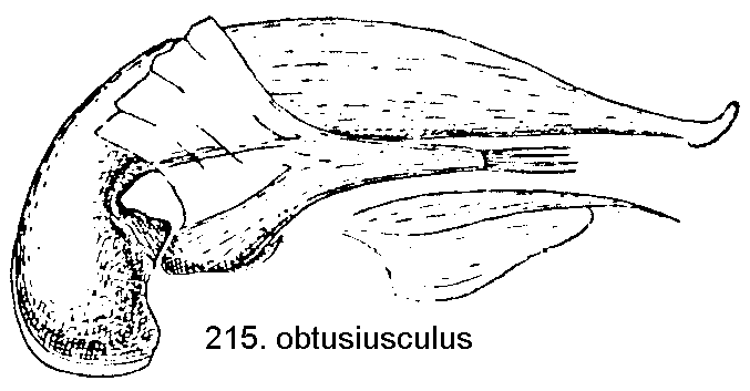 tre215.gif